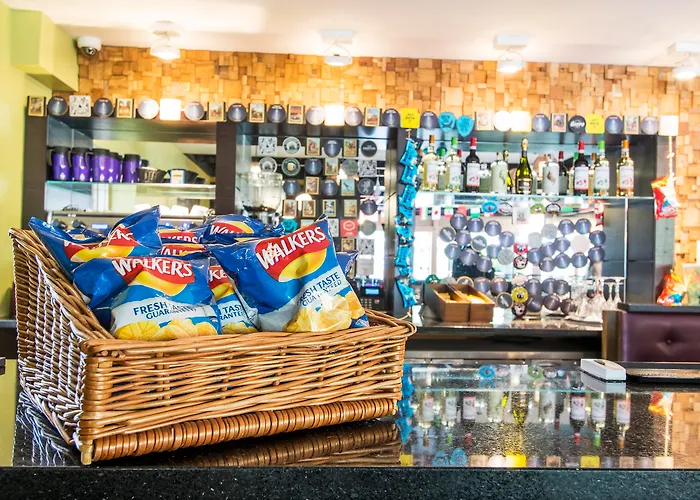 Safestay London Kensington Holland Park (Adults Only)