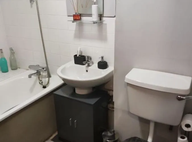 1 Bedroom Garden Flat Zone 2 Londra
