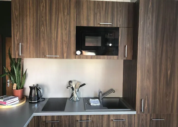 Studio Flat