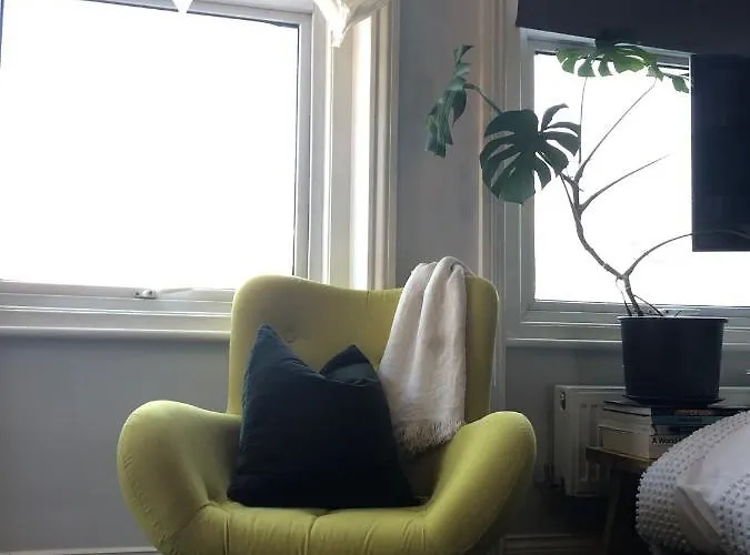 Studio Flat London