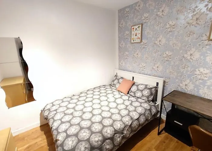Central Spacious Flat With 2 To 3 Bedrooms