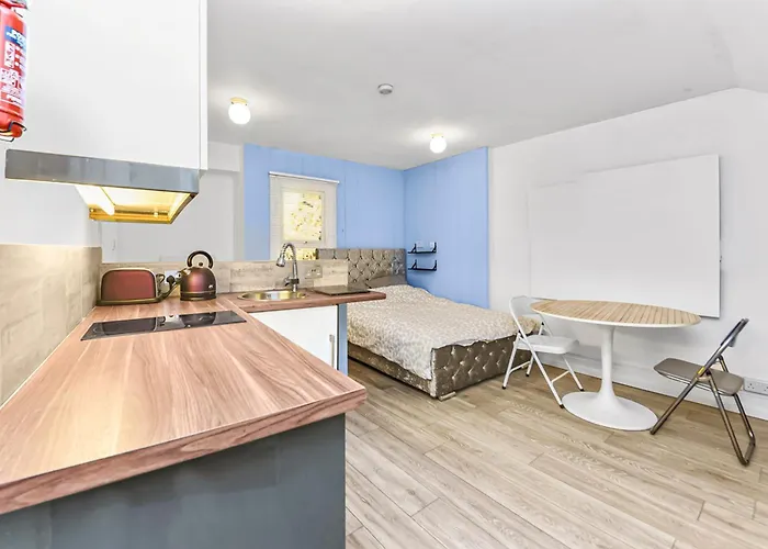 Cosy Studio Flat On A Budget Apartment London