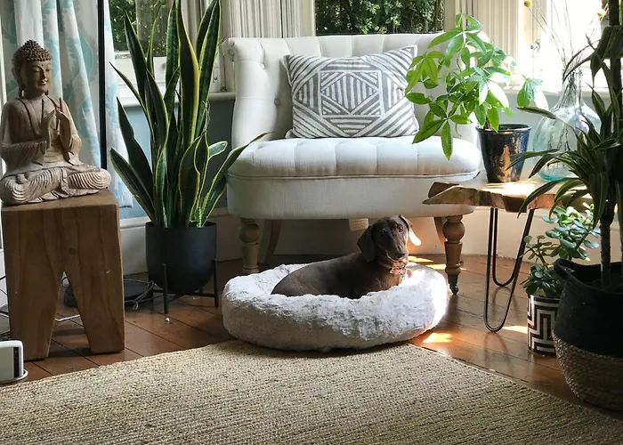 Dawn And Dudley The Sausage Dog'S Parkside Home
