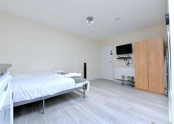 Newly Renovated Bedsit Near Seven Sisters Apartment London