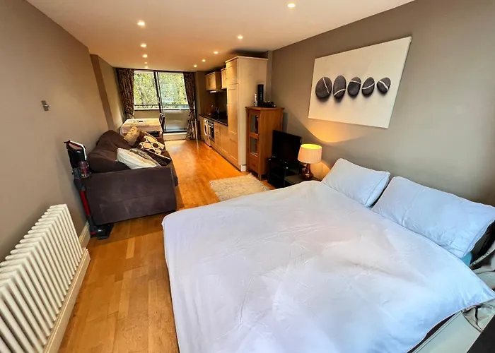 River Thames View Entire Apartment In The Most Cental London