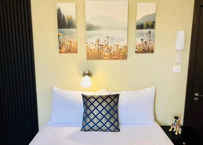 Luxury Flats In Central , Ideal For Tourists