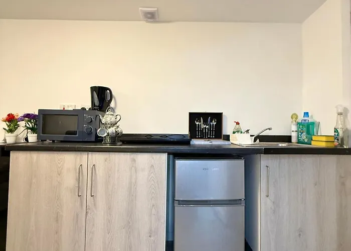 Luxury Studio - Near Heathrow Airport - Free Parking London