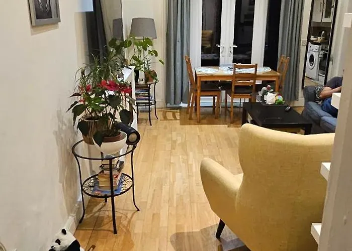 Cozy Room