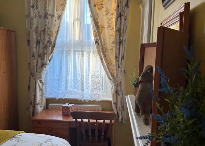 Nice Comfy House