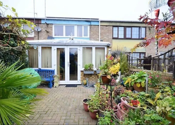 Oasis 77