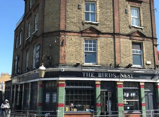 The Birds Nest Hostel